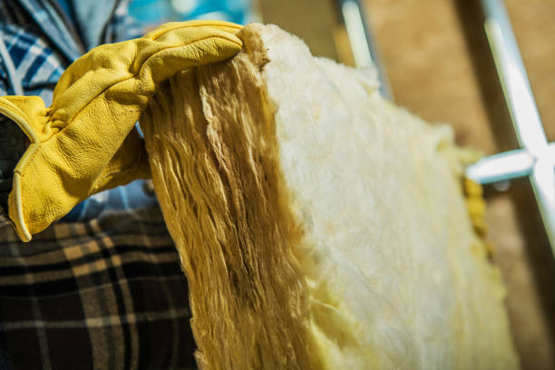 Best Residential Insulation Services  in Kenosha, WI