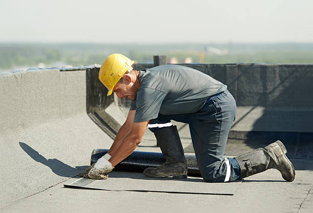Best Insulation Repair Services  in Kenosha, WI