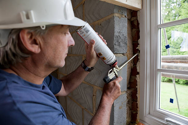 Best Cellulose Insulation  in Kenosha, WI