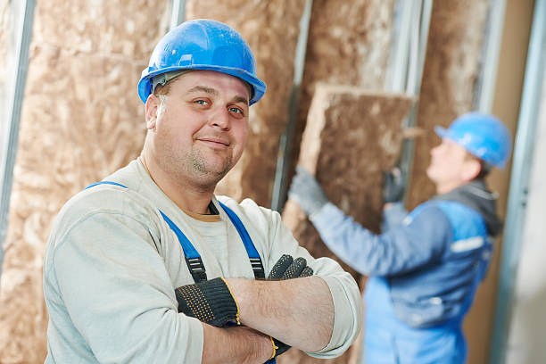 Best Insulation Contractor Near Me  in Kenosha, WI